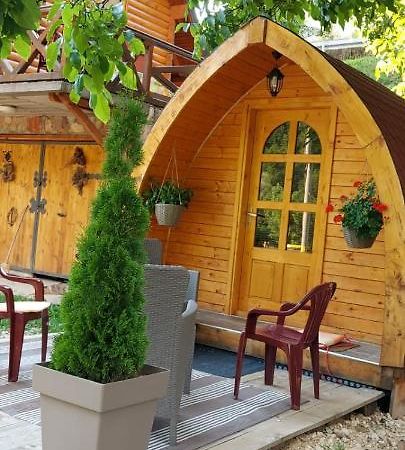 Vila Jelena - Bungalov Crni Vrh Esterno foto