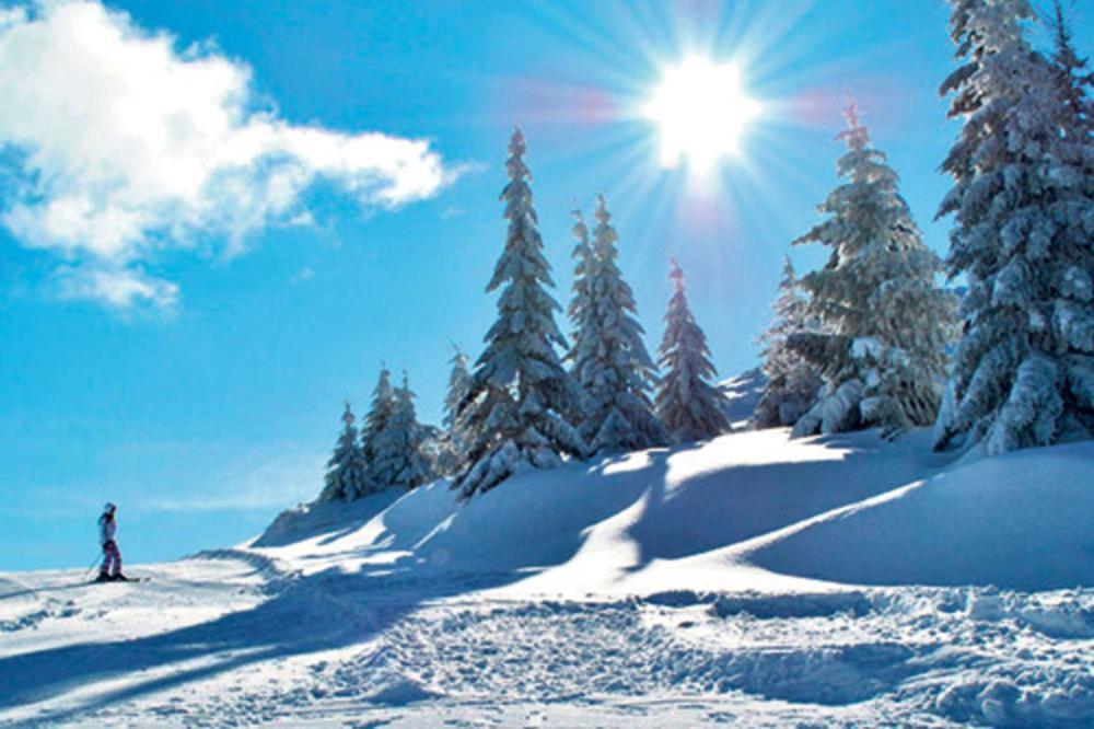 Vila Jelena - Bungalov Crni Vrh Esterno foto