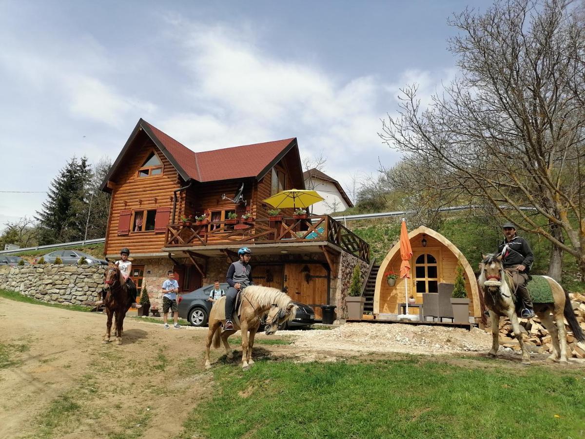 Vila Jelena - Bungalov Crni Vrh Esterno foto